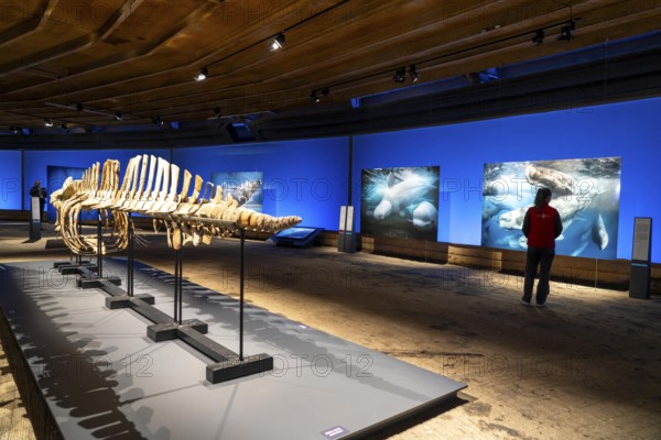 Plante Ozean exhibition in the Gasometer in Oberhausen, the world's oceans in their fragile beauty