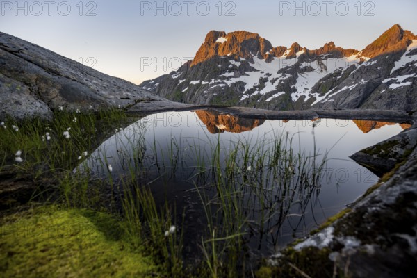 Rocky mountain peaks with reflection, small pond with cotton grass in moor landscape at Trollfjord