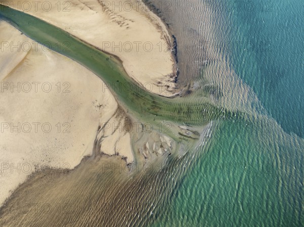 Aerial photograph, top down view of the Radolfzell Aach estuary with current lines, structures,