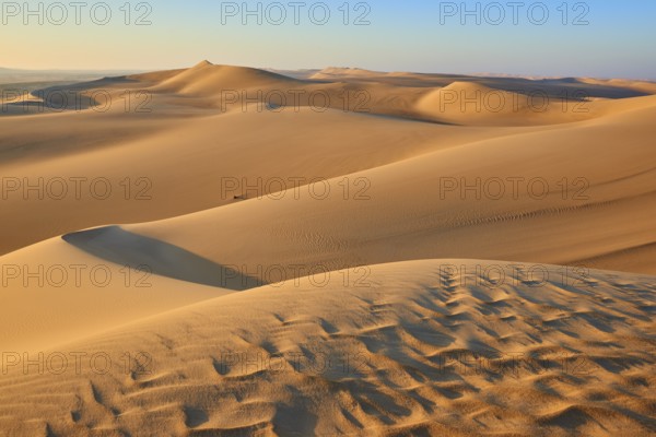 Endless sand dunes under a clear blue sky, glowing in golden sunlight, Matruh, Great Sand Sea,