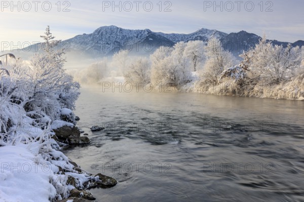 River and trees in hoarfrost in front of mountains, winter, Loisach, view of Herzogstand and
