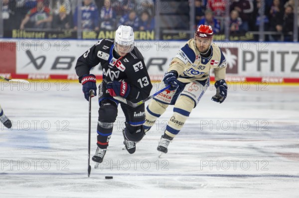 DEL, German Ice Hockey League season 2024/25, matchday 38: Adler Mannheim against Schwenninger Wild
