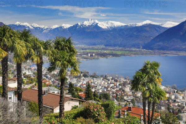 View over the city of Locarno and Lake Maggiore with snow-capped mountains in the background,