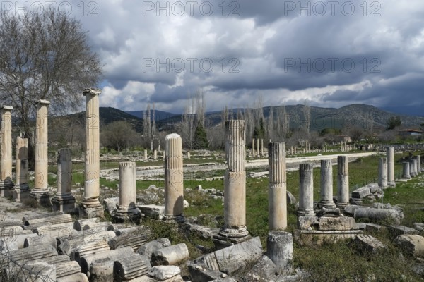 Excavation site site of the ancient city of Aphrodisias, today's city of Geyre, Karacasu, Aydin,