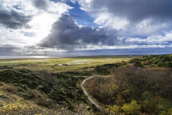 North Sea island of Spiekeroog, East Frisia, Lower Saxony, Germany, marshes, salt marshes,