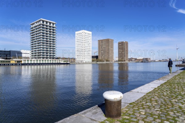 Kattendijkdok, harbour basin, high-rise residential buildings, apartment buildings, old harbour