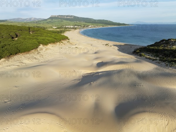 The famous dune of Bolonia at the sandy coastline of the Atlantic Ocean and framed by forests of