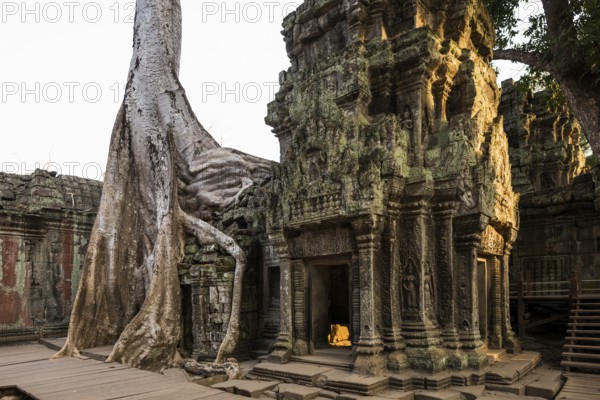 Ta Prohm, Angkor Wat, Angkor, UNESCO World Heritage Site, Siem Reap, Cambodia, Indochina, Southeast
