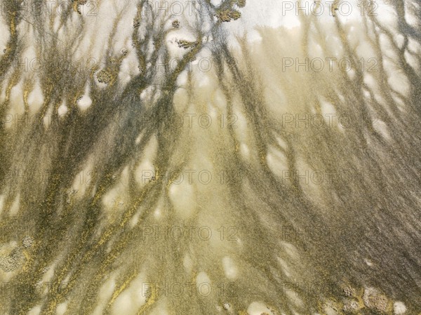 Marshland at low tide. Nature Reserve La Breña y Marismas del Barbate. Aerial view. Drone shot.