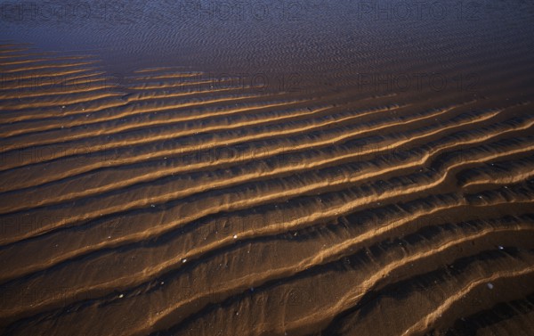 Sand ripples, wavy lines in the sand, structure, sandy beach, Meia Praia beach, Lagos, Atlantic