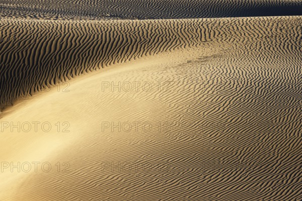 Maspalomas Dunes nature reserve, sand dunes in the evening light, Las Palmas province, Gran