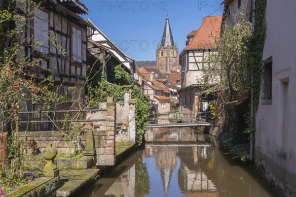 Lauter-Viertel le Schlupf with the tower of the church of St Peter and Paul, Wissembourg, Alsace,