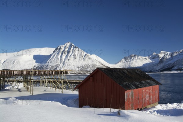 On the beach of Barstrand on the island of Gimsoymyrene, Lofoten, in Norway in winter, Norway,
