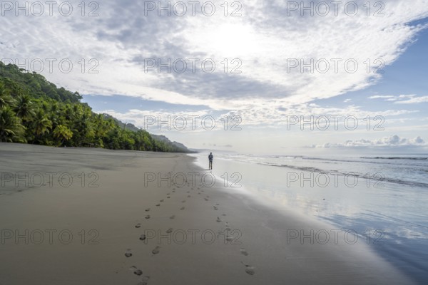 Young man walking along a sandy beach, tropical rainforest on the Pacific coast, Corcovado National