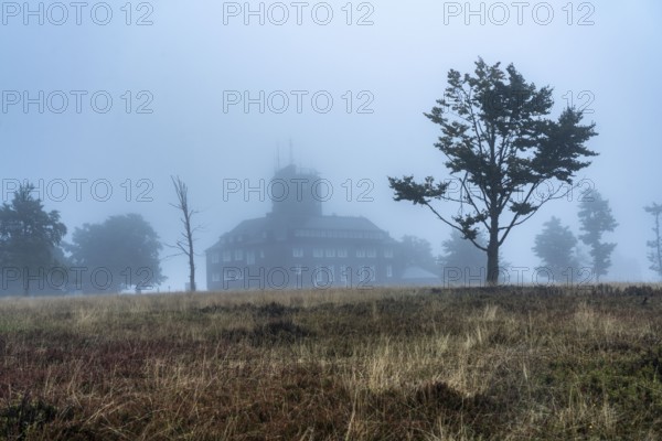 The high heath on the Kahler Asten, mountain in the Sauerland, in autumn fog, Winterberg, North