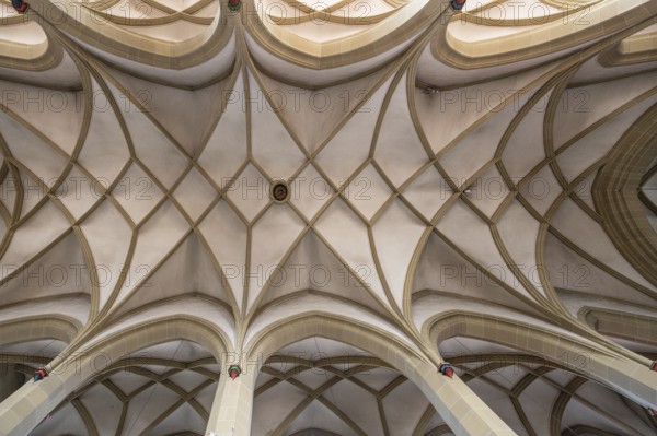 Cross vault of the late Gothic St John's Church, Obere Kirchgasse, Kitzingen, Lower Franconia,