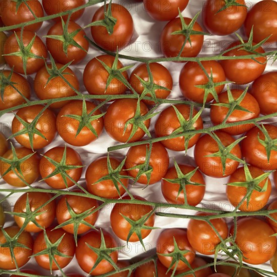 Ripe red vine tomatoes with green stalks in display of greengrocer grocery shop grocery store