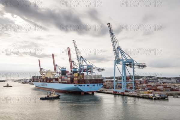 Container ship Mette Maersk, Maersk Line, loading cranes, harbour, Gothenburg, Sweden, Europe