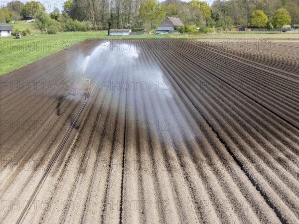 Artificial irrigation of a potato field in April, with a sprinkler system, long drought in spring
