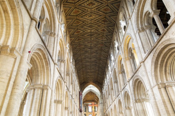 Interior of cathedral church, Peterborough, Cambridgeshire, England, UK looking up at ceiling and