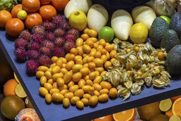 Exotic fruits, lychee, jackfruit, dragon fruit, mango and citrus fruits presented on a table,