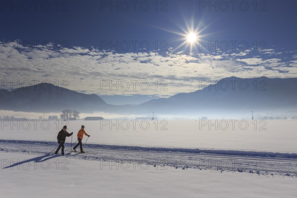Cross-country skier, woman and man, adult, on cross-country trail in front of mountains, snow,