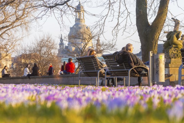 Sunbathers on the crocus meadows at the Hotel Belevue on the banks of the Elbe in Neustadt. View of
