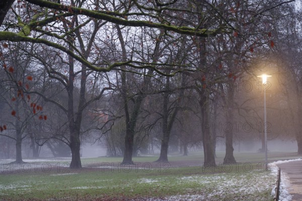 Cloudy mood and slush in the municipal park, danger of slipping, danger of catching a cold, cold,