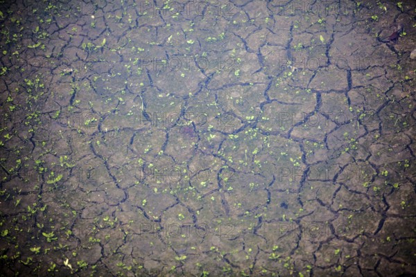 Drought riverbed, Bad Karlshafen, Upper Weser Valley, Weser Uplands, Weserbergland, Hesse, Germany,
