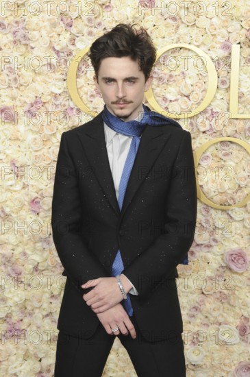 Timothee Chalamet at the 82nd Annual Golden Globe Awards held at the Beverly Hilton Hotel in