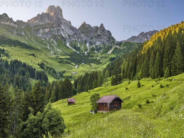 Aualm in front of the large Bischofsmütze, Gosaukamm, Dachstein mountains, Filzmoos, Pongau,