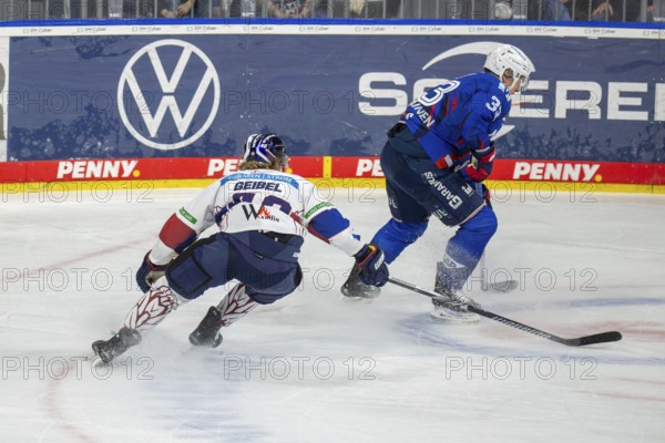 DEL, German Ice Hockey League season 2024/25, 52nd matchday: Adler Mannheim vs Eisbären