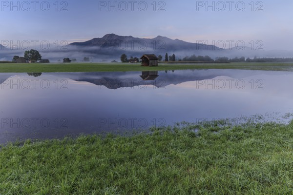 Mountains reflected in pond, morning mood, flooding, high water, Loisach-Lake Kochel-Moor, Bavaria,