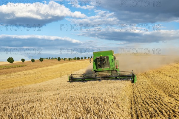 Combine harvester harvesting wheat, endless cornfield, blue sky with cumulus clouds, Saalekreis,