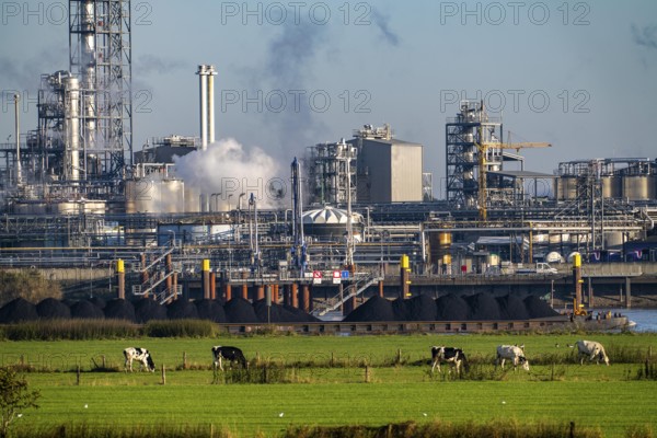 Cargo ship, coal, on the Rhine near Emmerich, Kao Chemicals scenery, specialising in surfactants,
