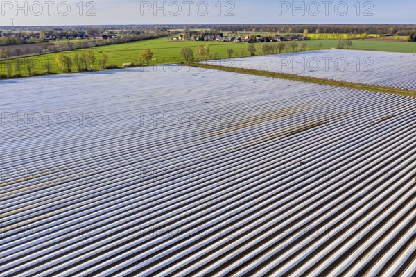 Asparagus fields near village Bröckel, rows covered with plastic foil, Lower Saxony, Germany,