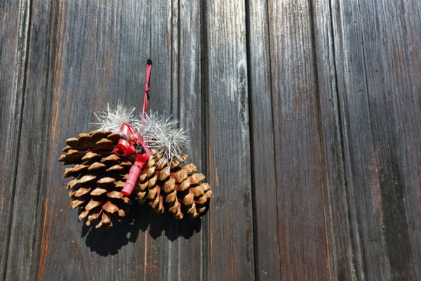 Pine cones, pine cones, minimalist Christmas decoration on a wooden door, narrow door, Haria,