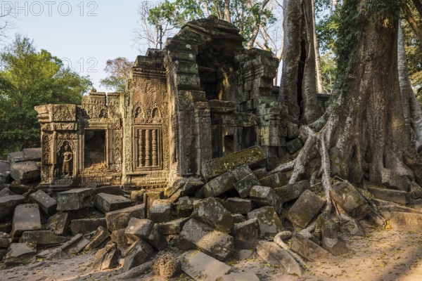 Ta Prohm, Angkor Wat, Angkor, UNESCO World Heritage Site, Siem Reap, Cambodia, Indochina, Southeast