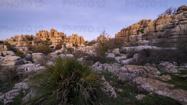 Bizarre limestone rock formations, El Torcal nature reserve, Torcal de Antequera, Malaga province,