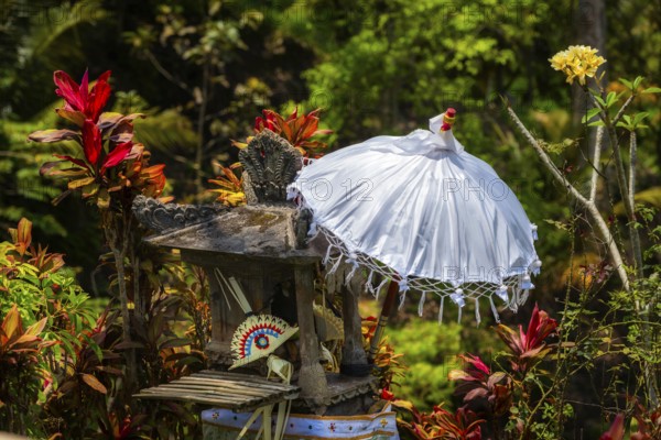 Balinese umbrella, temple, decoration, Jatiluwih, rice terrace, agriculture, farming, Hinduism,