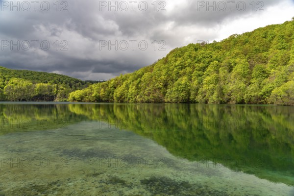 Lake in Plitvice Lakes National Park, Croatia, Europe