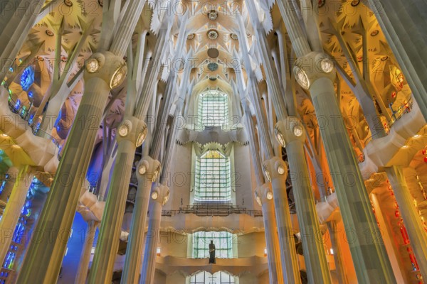 Interior of the Familia Sagrada, religion, Christianity, by the architect Antonio Gaudi in