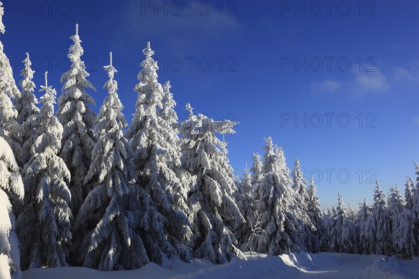 Winter landscape in the Fichtelgebirge, Bayreuth district, Upper Franconia, Bavaria, Germany,