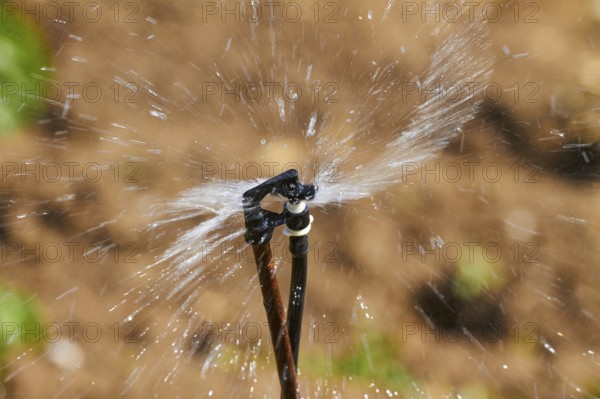 Irrigation sprinkler, field, macro, splashing water, Lassithi plateau, Lassithi, East Crete, island