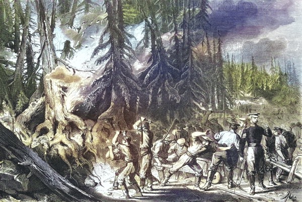 Forest Fire, Fire of a Fir Forest near St. Petersburg, 1869, Russia, Historic, digitally restored