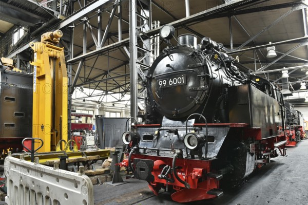 Steam locomotive of the Harz narrow gauge railway for maintenance in the workshop, Wernigerode,