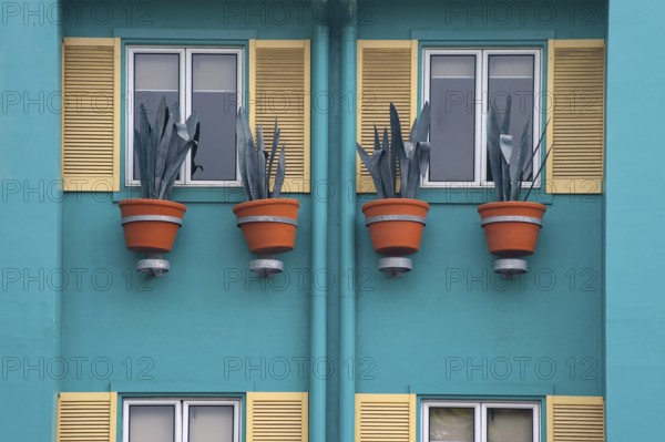Vases with aloe vera, flower, flower vase as decoration on a house