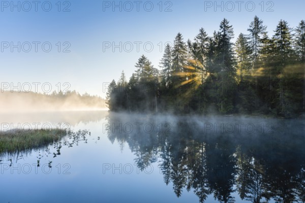 Sunrise over the mirror-smooth mire lake Étang de la Gruère in the canton of Jura, Switzerland,