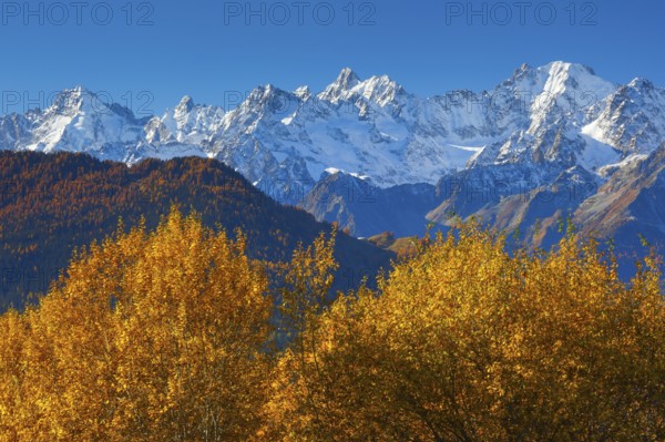 Mont Dolent, 3820m, Aguille d'Argentiere, 3901m, Aguille Verte, 4122m, view from Verbier, France,