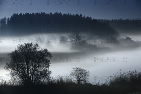 River landscape with ground fog at full moon at night, silhouettes of trees, Alz, Chiemgau,